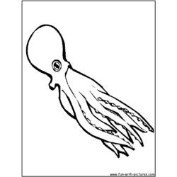 Coloring page: Octopus (Animals) #19031 - Free Printable Coloring Pages