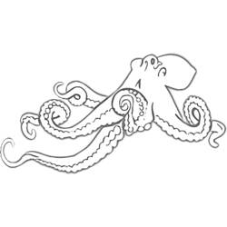 Coloring page: Octopus (Animals) #19054 - Free Printable Coloring Pages