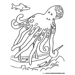 Coloring page: Octopus (Animals) #19087 - Printable coloring pages
