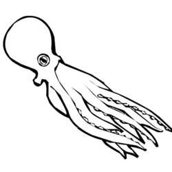 Coloring page: Octopus (Animals) #19089 - Free Printable Coloring Pages