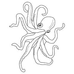 Octopus (Animals) coloring page #194435 to print and color