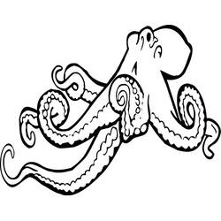 Octopus (Animals) coloring page #194459 to print and color