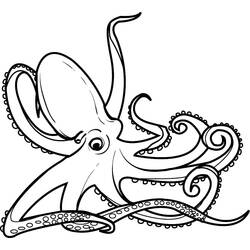 Octopus (Animals) coloring page #194460 to print and color