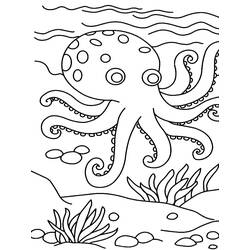 Octopus (Animals) coloring page #194461 to print and color