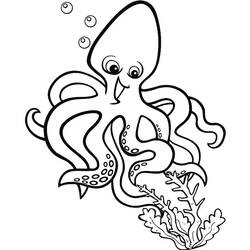 Octopus (Animals) coloring page #194474 to print and color
