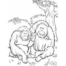 Coloring page: Orangutan (Animals) #191564 - Free Printable Coloring Pages