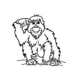 Coloring page: Orangutan (Animals) #191572 - Free Printable Coloring Pages