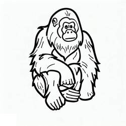 Coloring page: Orangutan (Animals) #191573 - Free Printable Coloring Pages