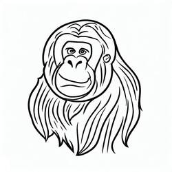 Coloring page: Orangutan (Animals) #191575 - Free Printable Coloring Pages