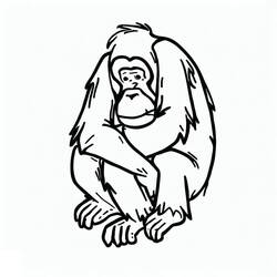Coloring page: Orangutan (Animals) #191576 - Free Printable Coloring Pages