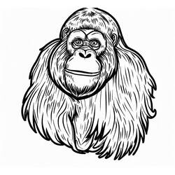 Coloring page: Orangutan (Animals) #191579 - Free Printable Coloring Pages