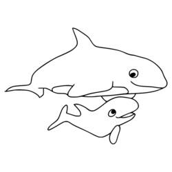 Coloring page: Orca (Animals) #213447 - Free Printable Coloring Pages