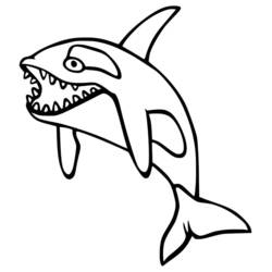 Coloring page: Orca (Animals) #213450 - Free Printable Coloring Pages