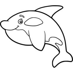 Coloring page: Orca (Animals) #213453 - Free Printable Coloring Pages