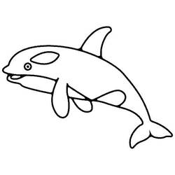 Coloring page: Orca (Animals) #213454 - Free Printable Coloring Pages