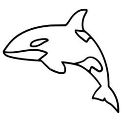 Coloring page: Orca (Animals) #213467 - Free Printable Coloring Pages