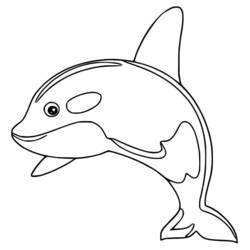Coloring pages: Orca - Free Printable Coloring Pages