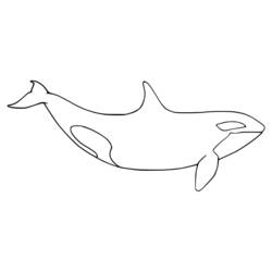 Coloring page: Orca (Animals) #213472 - Free Printable Coloring Pages