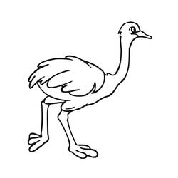 Ostrich (Animals) coloring page #204543 to print and color