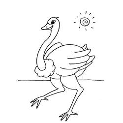 Ostrich (Animals) coloring page #204551 to print and color
