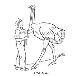 Ostrich (Animals) coloring page #204579 to print and color