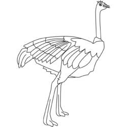 Coloring page: Ostrich (Animals) #682 - Printable coloring pages