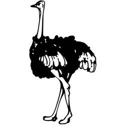 Coloring page: Ostrich (Animals) #725 - Printable coloring pages