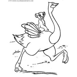 Coloring page: Ostrich (Animals) #737 - Printable coloring pages
