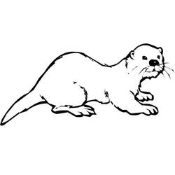 Coloring page: Otter (Animals) #10639 - Printable coloring pages