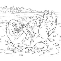 Coloring page: Otter (Animals) #10651 - Free Printable Coloring Pages