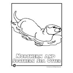 Coloring page: Otter (Animals) #10674 - Free Printable Coloring Pages