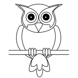 Owl (Animals) coloring page #178820 to print and color