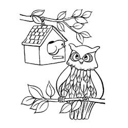 Owl (Animals) coloring page #217047 to print and color