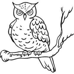 Coloring page: Owl (Animals) #8411 - Printable coloring pages