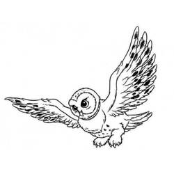Coloring page: Owl (Animals) #8414 - Printable coloring pages