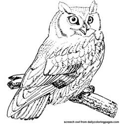 Coloring page: Owl (Animals) #8424 - Free Printable Coloring Pages