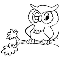 Coloring page: Owl (Animals) #8426 - Free Printable Coloring Pages
