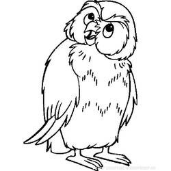 Coloring page: Owl (Animals) #8431 - Printable coloring pages