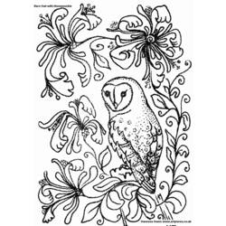 Coloring page: Owl (Animals) #8441 - Free Printable Coloring Pages