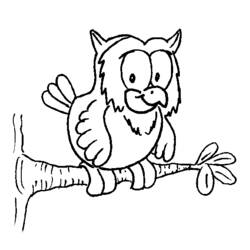 Coloring page: Owl (Animals) #8445 - Free Printable Coloring Pages