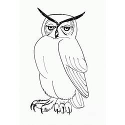 Coloring page: Owl (Animals) #8461 - Free Printable Coloring Pages