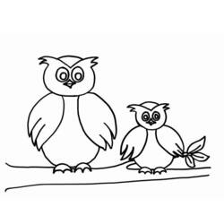 Coloring page: Owl (Animals) #8465 - Free Printable Coloring Pages
