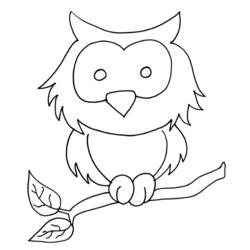 Coloring page: Owl (Animals) #8477 - Free Printable Coloring Pages