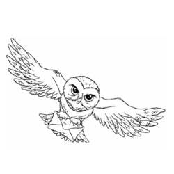Coloring page: Owl (Animals) #8478 - Free Printable Coloring Pages