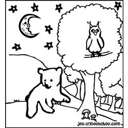 Coloring page: Owl (Animals) #8494 - Free Printable Coloring Pages