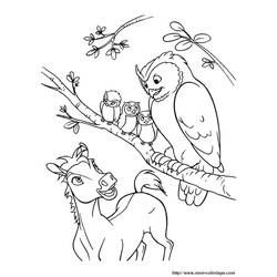 Coloring page: Owl (Animals) #8495 - Free Printable Coloring Pages