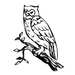 Coloring page: Owl (Animals) #8514 - Free Printable Coloring Pages