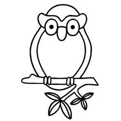 Coloring page: Owl (Animals) #8519 - Free Printable Coloring Pages