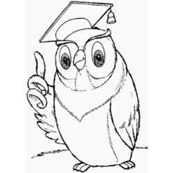 Coloring page: Owl (Animals) #8539 - Free Printable Coloring Pages