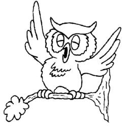 Coloring page: Owl (Animals) #8549 - Free Printable Coloring Pages